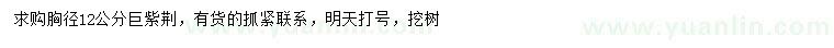 求購(gòu)胸徑12公分巨紫荊