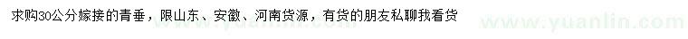 求購30公分嫁接青垂