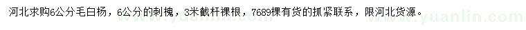 求購(gòu)6公分毛白楊、刺槐