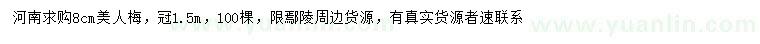 求購8公分美人梅