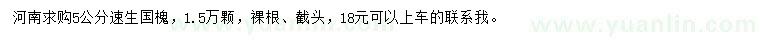 求購5公分速生國槐