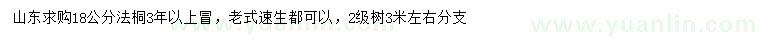 求購18公分法桐