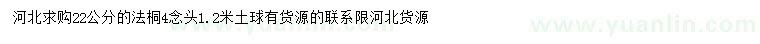 求購22公分法桐