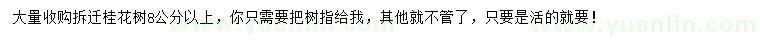 求購(gòu)8公分以上桂花