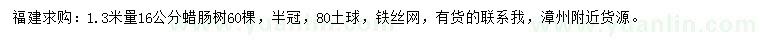 求購(gòu)16公分蠟?zāi)c樹(shù)