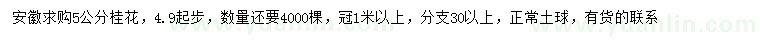 求購5公分桂花
