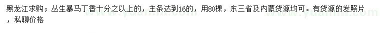 求購10公分之以上叢生暴馬丁香