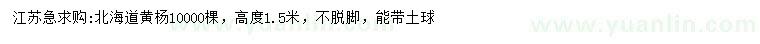 求購高1.5米北海道黃楊