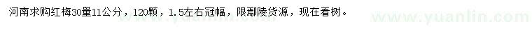 求購30公分量11公分紅梅
