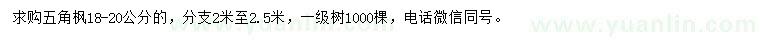 求購18-20公分五角楓