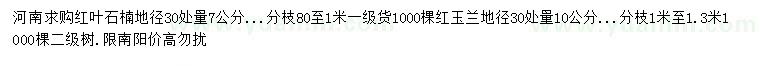 求購(gòu)地徑30處量7公分紅葉石楠、10公分紅玉蘭