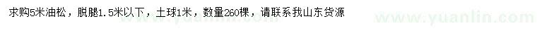 求購(gòu)5米油松