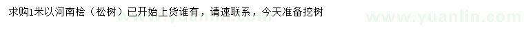 求購1米以河南檜