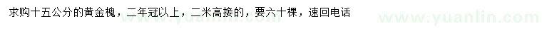 求購15公分黃金槐