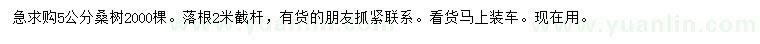 求購(gòu)5公分桑樹