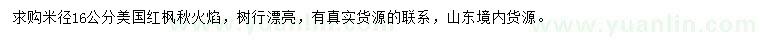 求購米徑16公分美國紅楓秋火焰