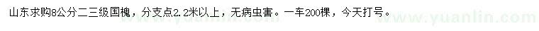 求購8公分國槐