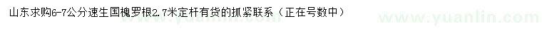 求購6-7公分速生國槐