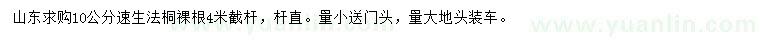 求購10公分速生法桐