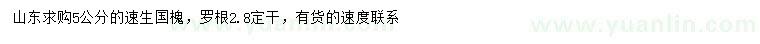 求購5公分速生國槐