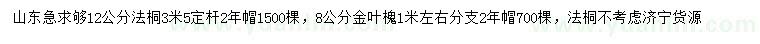 求購12公分法桐、8公分金葉槐