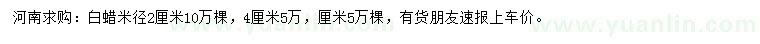 求購米徑2、4公分白蠟
