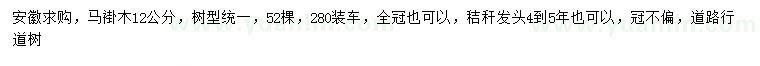 求購12公分馬褂木