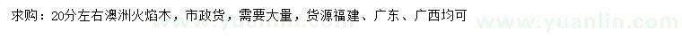 求購(gòu)20分左右澳洲火焰木