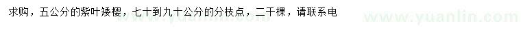 求購(gòu)5公分紫葉矮櫻
