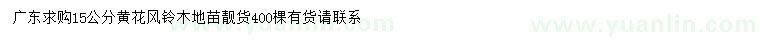 求購(gòu)15公分黃花風(fēng)鈴木