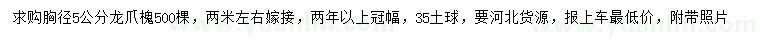 求購胸徑5公分龍爪槐