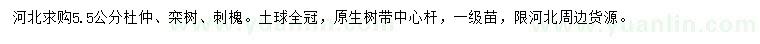求購杜仲、欒樹、刺槐