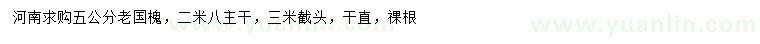 求購5公分老國槐