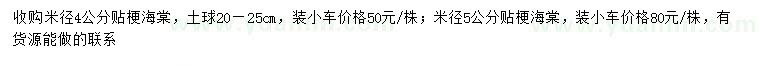 求購(gòu)米徑4公分貼梗海棠