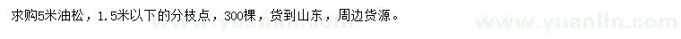求購5米油松