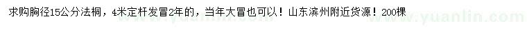 求購胸徑15公分法桐