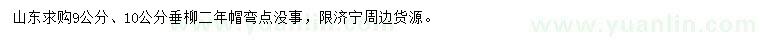 求購9、10公分垂柳