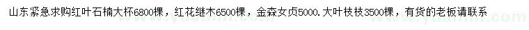 求購紅葉石楠、紅花繼木、金森女貞等