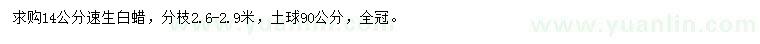 求購14公分速生白蠟