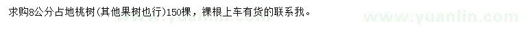 求購8公分占地桃樹