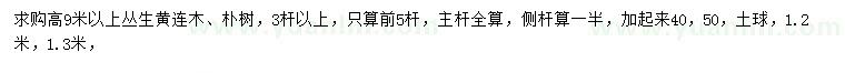 求購高9米以上叢生黃連木、樸樹