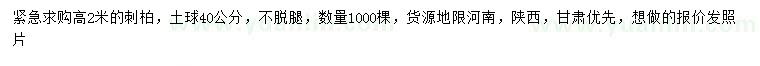 求購高2米刺柏