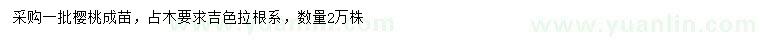 求購吉色拉櫻桃占木