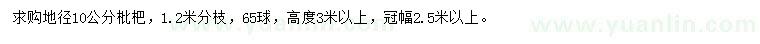 求購地徑10公分枇杷