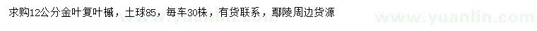 求購12公分金葉復(fù)葉槭