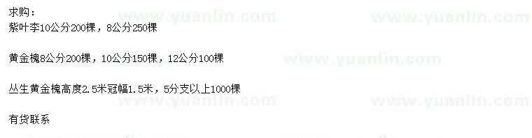 求購8公分黃金槐、10公分紫葉李