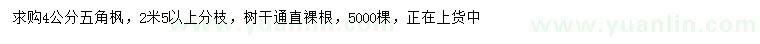 求購(gòu)4公分五角楓
