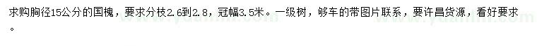 求購胸徑15公分國槐