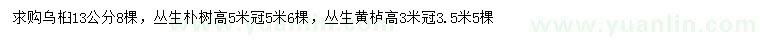 求購烏桕、叢生樸樹、叢生黃櫨