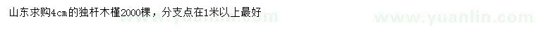 求購4公分獨桿木槿